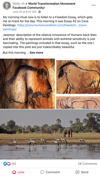 Facebook Group post by Molly van Hemert featuring cave paintings from Freedom Essay 42