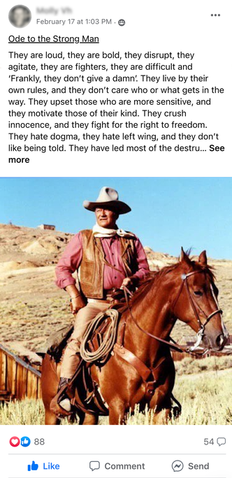 Facebook Group post by Molly Van Hemert about strong men featuring an image of John Wayne