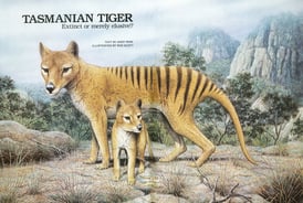 Article about Jeremy Griffith’s Tasmanian Tiger search in Australian Geographic