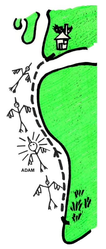 Het verhaal van Adam Ooievaar - ooievaars vliegen als Adam bewust wordt