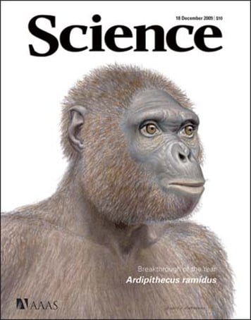 Illustration of the human ancestor, Ardipithecus ramidus, on the front cover of Science magazine
