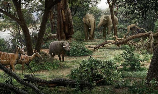 Painting reconstruction of distant human ancestor Ardipithecus in its lush, plentiful and forested habitat