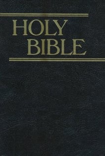 Cover of ‘The Bible’