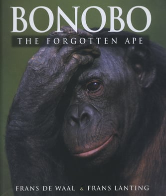 Book cover ‘Bonobo: The Forgotten Ape’ with an adult bonobo closeup gazing at the camera