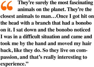 Quote on Bonobo compassion from French Docmentary.