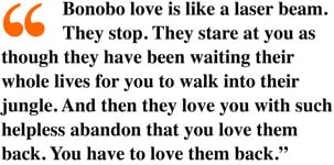 Bonobo quote by primate researcher Vanessa Woods about bonobos capacity for love.