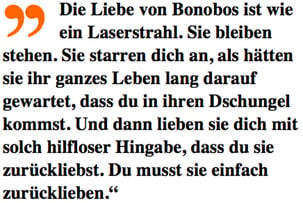 Bonobo quote by Vanessa Woods about bonobos capacity for love. German translation.