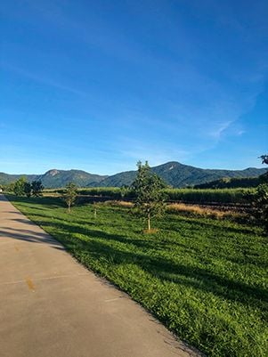 Walking path in Cairns with mountains in the background