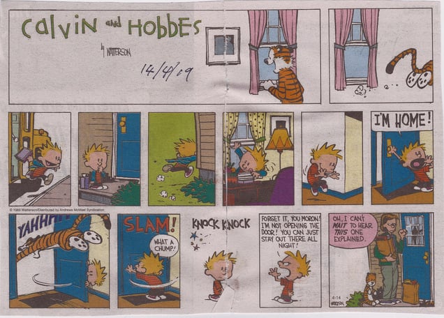 Calvin and Hobbes cartoons