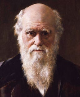 Painted portrait of Charles Darwin as an older man by John Collier