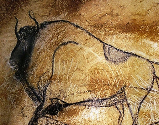 Painting of a bison with huge chest from the Chauvet Cave