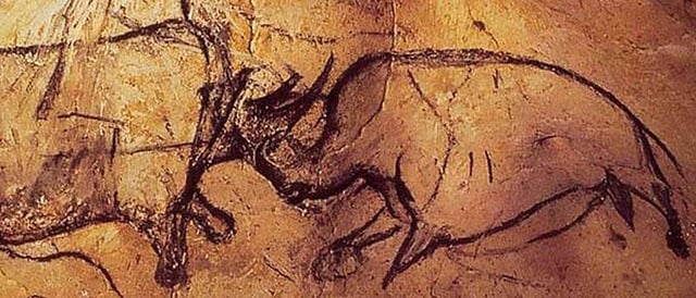 Painting of two rhinos fighting from the Chauvet cave