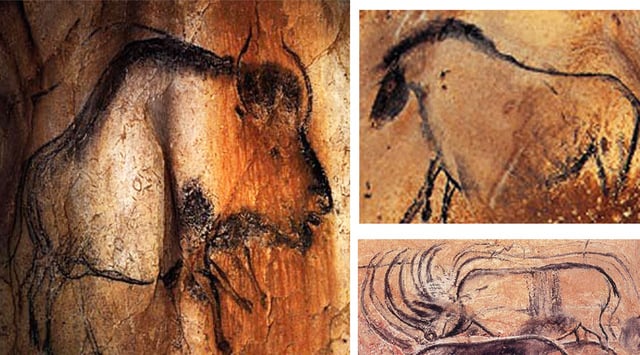 Paintings of a bison, a horse and a rhinoceros from the Chauvet-Pont-d’Arc Cave in southern France