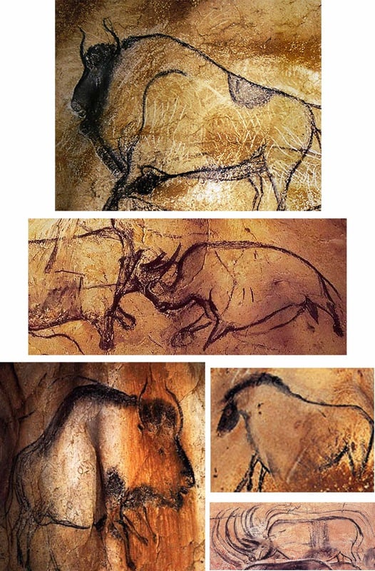 Paintings in the Chauvet-Pont-d’Arc Cave in southern France from the Upper Paleolithic period. These are the earliest known cave paintings (up to 32,000 years old).