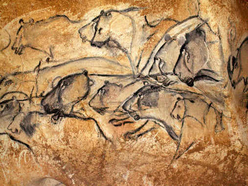 Drawings of lions in the Chauvet Cave