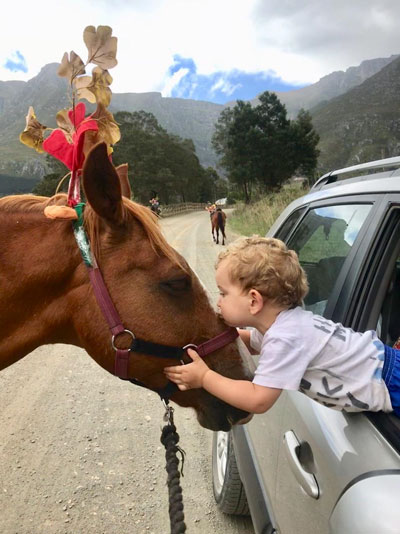 Child leaning out window of a car kissing a horse