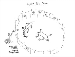 Drawing by Jeremy Griffith of Lizard Tail Farm