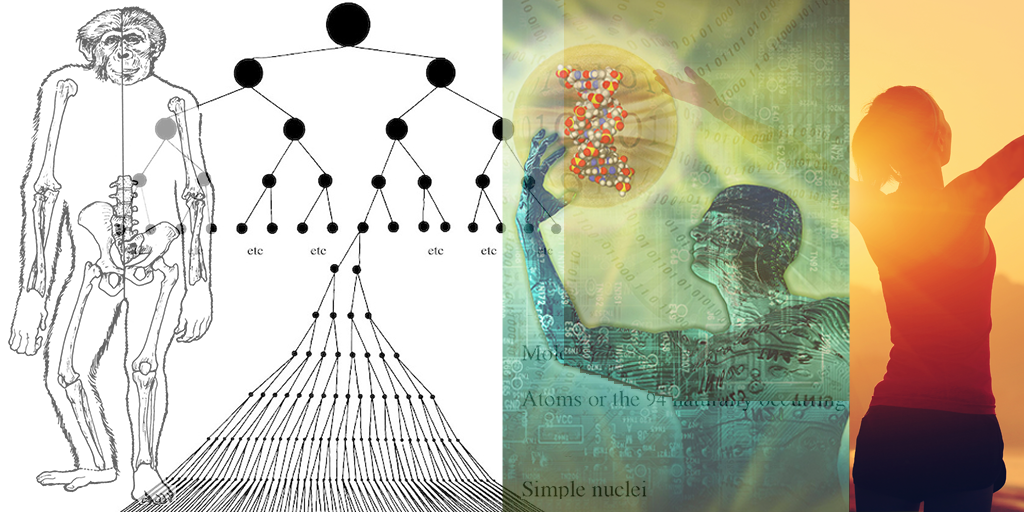 Montage of bonobos, atoms ordering, man holding DNA and a free person