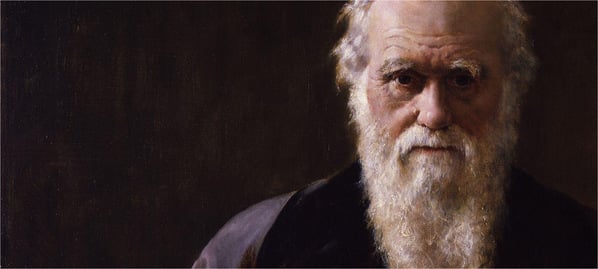 Painted portrait of Charles Darwin as an older man