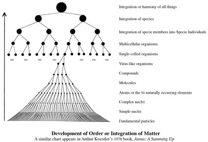Chart showing the development of order or integration of matter on Earth