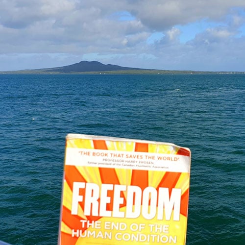 Freedom on Auckland Harbour with Rangitito in background
