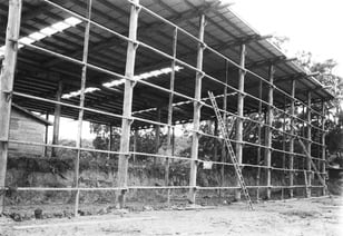 Pole shed frame during construction at Griffith Tablecraft