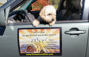 Magnet of Humanity’s liberation poster on car door with dog leaning out the window