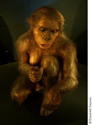 Sensitive reconstruction of Homo habilis suggesting the emergence of consciousness by acclaimed paleoartist Élisabeth Daynès