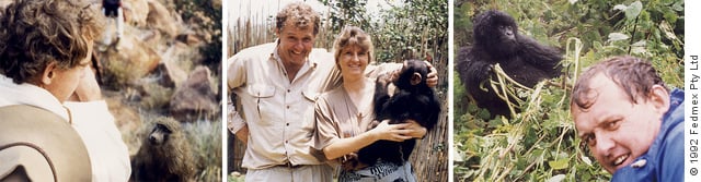 Jeremy Griffith observing a Baboon, wtih Dr Susanne Abildgaard and young chimpanzee and observing a Mountain Gorilla in Rwanda