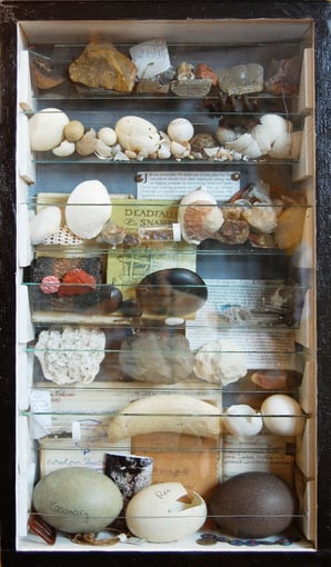 Jeremy Griffith’s egg collection box