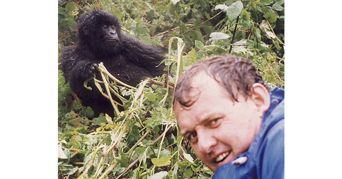 Jeremy Griffith with the Susa Mountain Gorillas in Rwanda | World ...