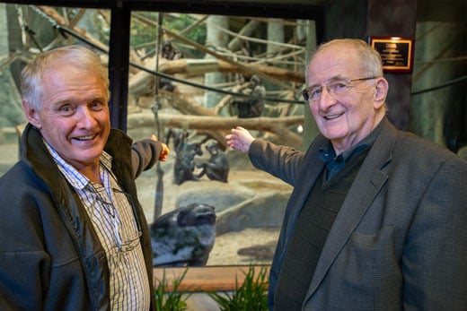 Prof Prosen and Jeremy Griffith with bonobos at Milwaukee County Zoo
