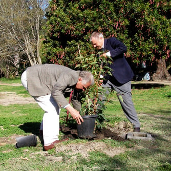 Jeremy and Simon Griffith planting Jill Griffith’s memorial tree.