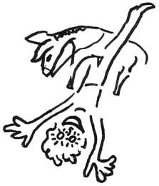 Drawing of ecstatic man fally off a donkey in happiness