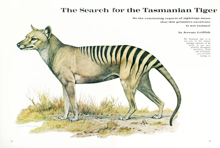 In December 1972, Natural History, the journal of the American Museum of Natural History, published an article written by Jeremy about his search for the Tiger