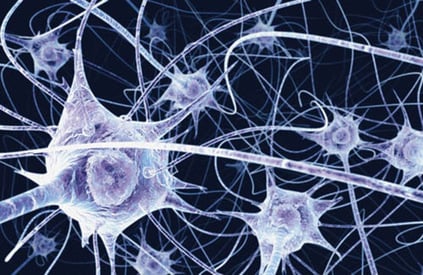 Illustration of a network of interconnected nerve cells, neurons, in the human brain