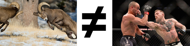 A collage of two bighorn rams butting heads, a does not equal symbol, and two male boxers fighting each other.