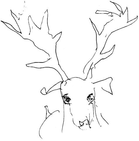 Drawing by Jeremy Griffith of a red deer