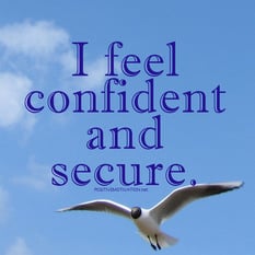 A seagul on a blue sky with the new-age slogan ‘I feel confident and secure’