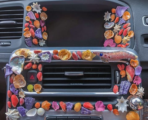 Shell mosaics in Jeremy Griffith’s car, March 2019