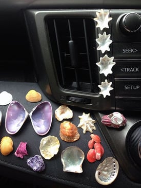 Mural of shells created by Jeremy Griffith on the dashboard of his car - Apr 2017