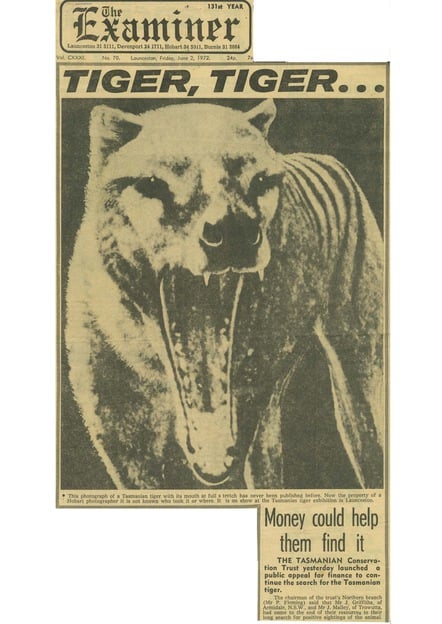 The Examiner newspaper article on Jeremy Griffith’s Tasmanian Tiger search