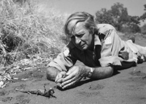 Sir Laurens lying down in desert in front of a praying mantis