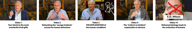 Thumbnail images for WTM Video/Freedom Essays 1, 2, 3, 4 and 14