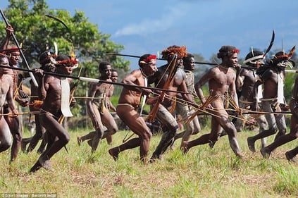 A band of New Guineans charging into battle with spears and arrows dressed in tradional battle dress.