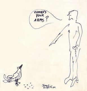 Drawing by Jeremy Griffith of man pointing at a bird asking where are your arms