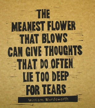 William Wordsworth quote: “the meanest flower that blows can give thoughts that do often lie too deep for tears”