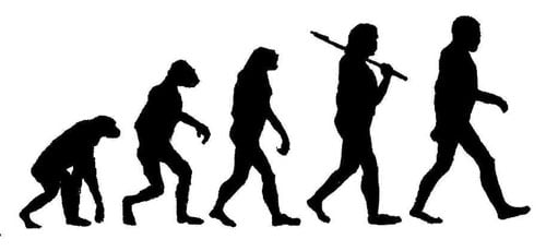 Diagram of ape ancestors at various stages evolving into upright walking modern humans