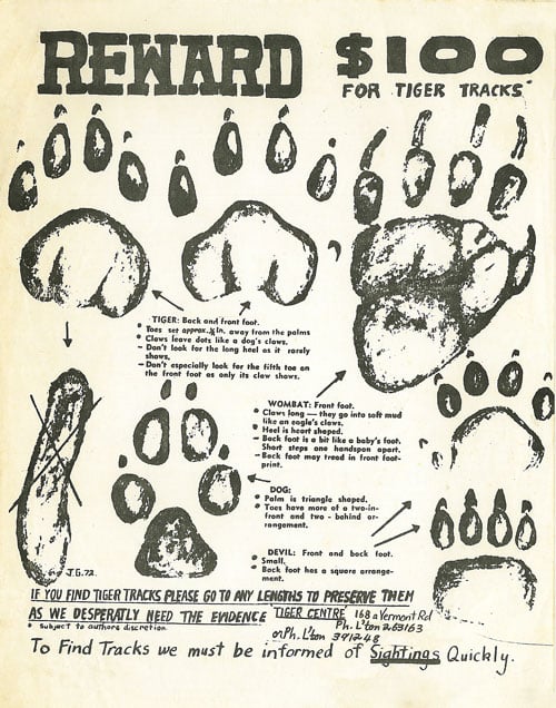 Jeremy's Tiger Footprint Reward Poster