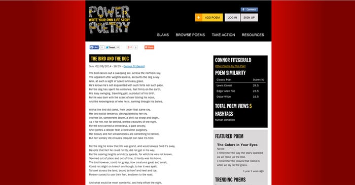 Power Poetry: The Bird and the Dog